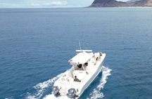Venture Wildlife Snorkel Charter from Ko Olina