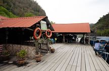 2 Hours Private Mangrove Tour Langkawi