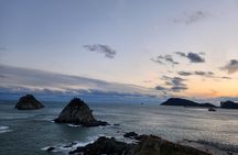 Busan private tour : K-pop dance class + tour
