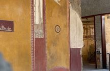 From Amalfi Coast: Pompeii Guided Tour with Skip the Line