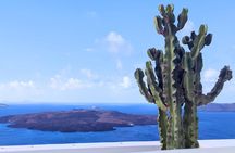 Santorini Panoramic Firostefani & Oia Blue Domes Private Tour