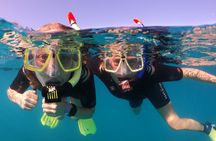 Small Group Snorkeling in Abades Bay with Licensed Guide