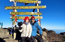 8 Days Kilimanjaro Hike via Lemosho Route 