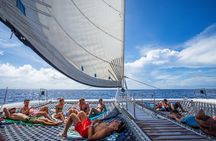 Klein Curacao Sunset Cruise with Open Bar and BBQ