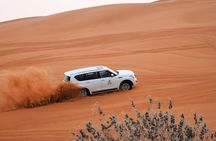 Unforgettable Standard Desert Safari Experience with ICL Lama