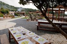 Road-trip to Lasithi: Vidiani, Krasi, Olive Mill Farm, Lasinthos