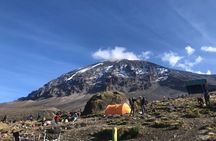 Kilimanjaro 8 days Lemosho Route