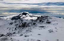Kilimanjaro 8 days Lemosho Route