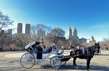 Luxury Horse and Carriage Tours in Central Park