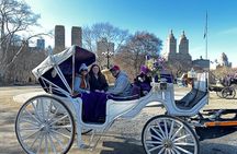 Luxury Horse and Carriage Tours in Central Park