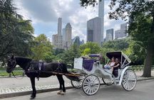 Luxury Horse and Carriage Tours in Central Park