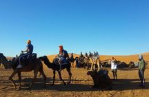 2 Days Desert Trip Back To Fes/ Or Marrakech 