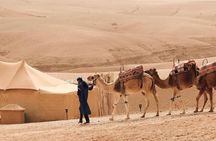 Full Day Trip Agafay Desert Atlas Mountains Camel Ride Quad Bike