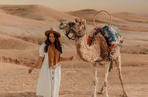 Full Day Trip Agafay Desert Atlas Mountains Camel Ride Quad Bike