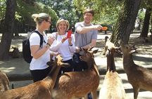 Nara Highlight Private Walking Tour with Licensed Guide