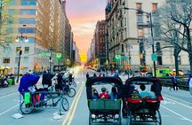 Central Park privet pedicab delux tour -1 hour 