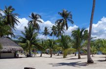 Luli island, cowrie isla, pambato reef Puerto princesa excursion