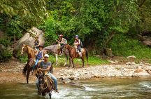Combo Horseback Riding in Vallarta with ATV and Ziplines.