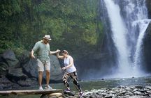 Ubud Private Customized Tour