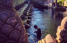 Ubud Private Customized Tour
