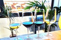 Tasting of 4 Spanish wines in Puerta del Sol Madrid