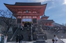 Kyoto Highlights Full Day Private Guided Tour from Tokyo