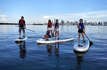Manatee Season Guided Paddle Tour from Virginia Key
