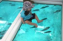 3-Hour Private Glass-Bottom Boat Tour with Snorkeling in Hurghada