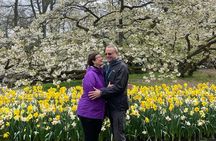 Private Tour to Royal Delft Museum - From Rotterdam