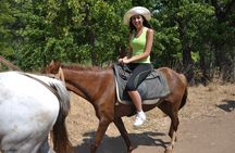 Horse Riding Tour in Antalya, on the Beach and in the Forest