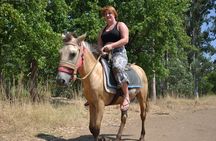 Horse Riding Tour in Antalya, on the Beach and in the Forest