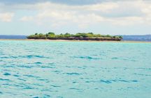 Zanzibar Prison Island Trip and Stone Town Private Walking Tour