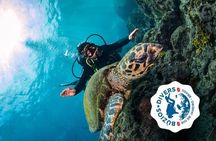 Diving for Beginners and Accredited - Búzios RJ
