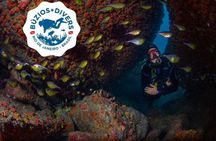 Diving for Beginners and Accredited - Búzios RJ