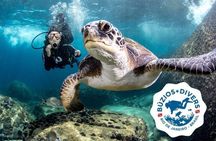 Diving for Beginners and Accredited - Búzios RJ