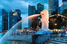 Singapore Starry Night Cruise, Garden Rhapsody & Spectra Show