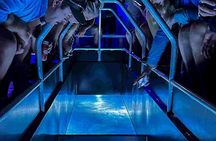 Airlie Beach Glass Bottom Boat Guided Night Tour