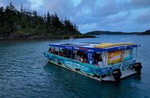 Airlie Beach Glass Bottom Boat Guided Night Tour