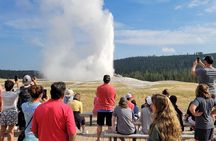 Guided Lower Loop of Yellowstone from Cody, WY