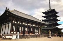 Nara Todaiji Kasuga Taisha Private Full Day Tour From Kyoto