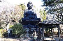 Walking tour, Tokyo Great Buddha, Botanical Garden, etc.