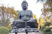 Walking tour, Tokyo Great Buddha, Botanical Garden, etc.