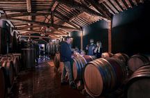 Exclusive Wine Tour and Tasting Experience in Siena