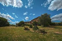 Exclusive Wine Tour and Tasting Experience in Siena