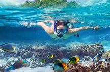 Nusa Penida West trip with snorkeling at 3 spot with Free Meals