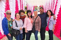 Private Same Day Jaipur Tour with Guide from Delhi