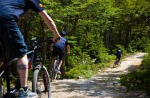 Assisted Bicycle Experience to the Beagle Channel Viewpoint