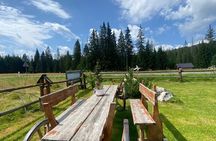 Zakopane Tour from Krakow with Funicular, Tasting & Hotel Pick up