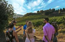 Guided Winery Tour and Wine Tasting in Siena
