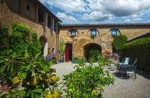 Guided Winery Tour and Wine Tasting in Siena